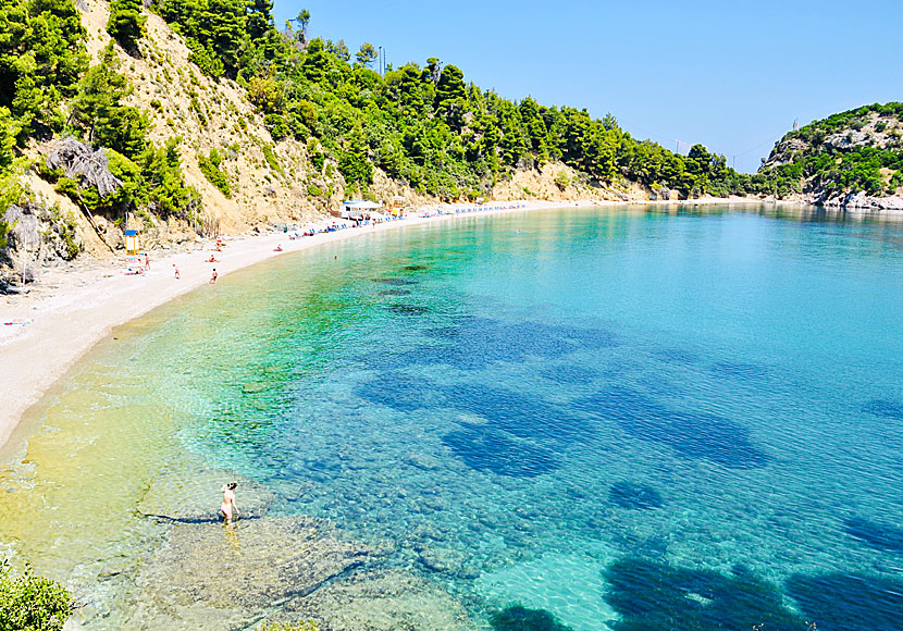 Stafilos beach. Skopelos. Kreikka.