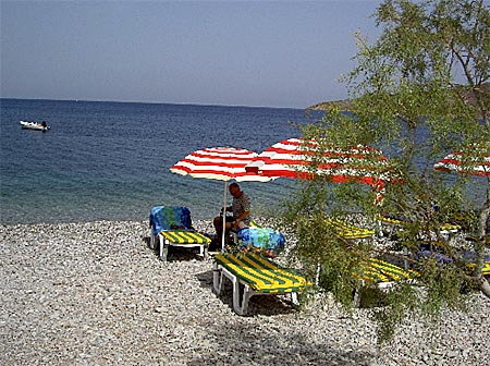 Nautilus på Livadia beach på Tilos.