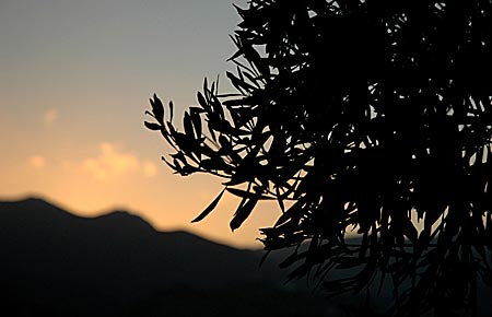 Karpathos.