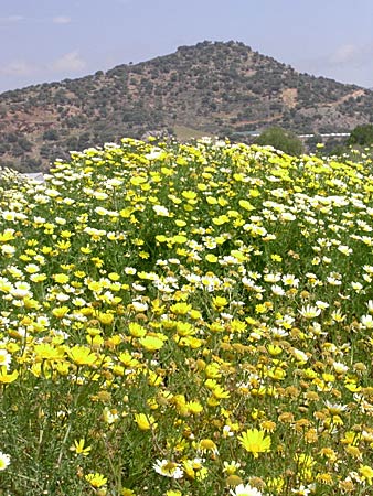 Paleochora. Kreta.
