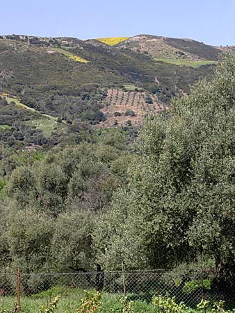 Kandanos p&aring; Kreta.