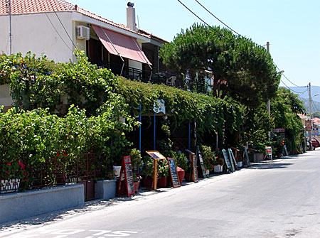 Gr&ouml;nska bland flera av tavernorna p&aring; strandgatan i Petra. Lesbos.