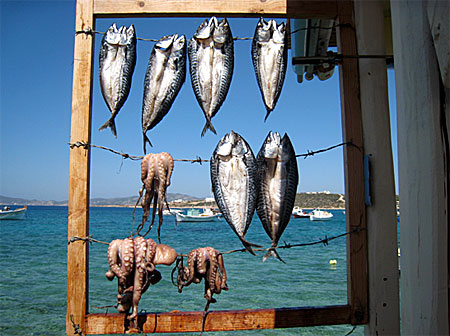 Aliki. Paros.