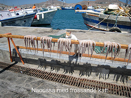 Naoussa. Paros.