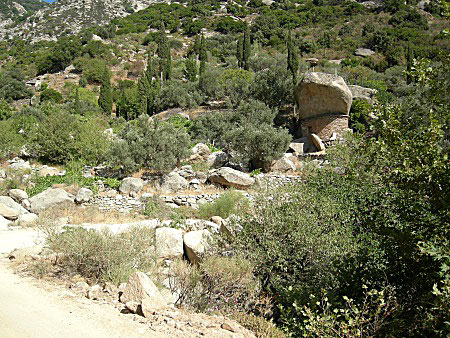 Ikaria.