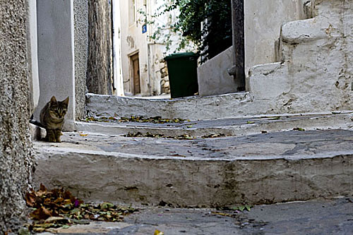 Naxos.