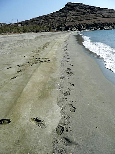 Tinos