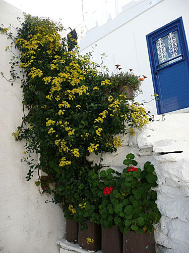 Tinos