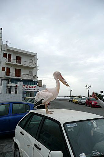 Tinos