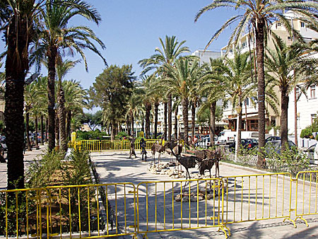 Rhodos.