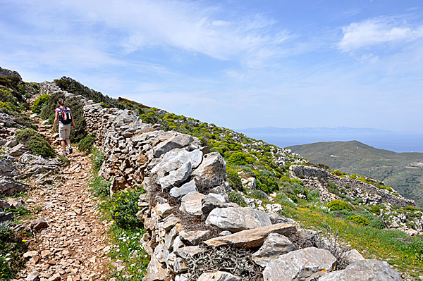 Machos. Amorgos.