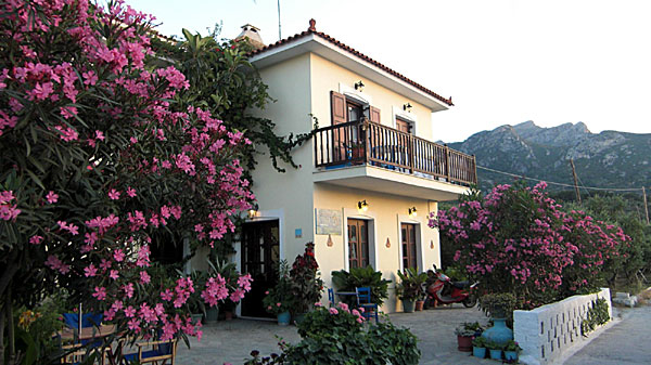 Pension Jasu Hello-Hello. Kokkari. Samos.