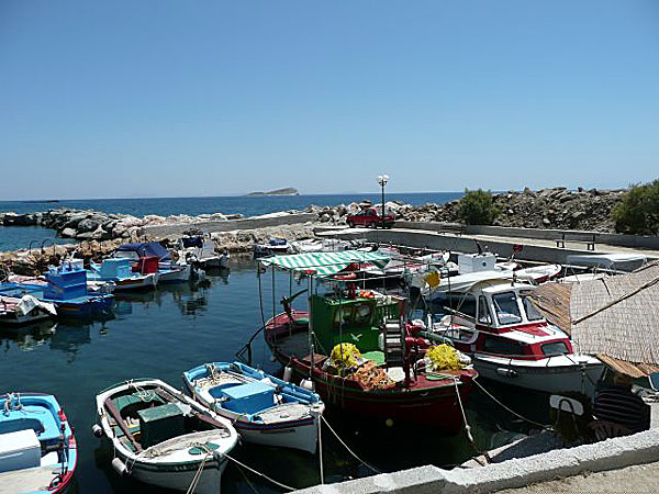 Finikas på Syros.