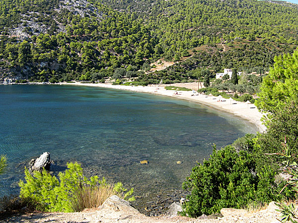 Pefkos beach. Skyros.