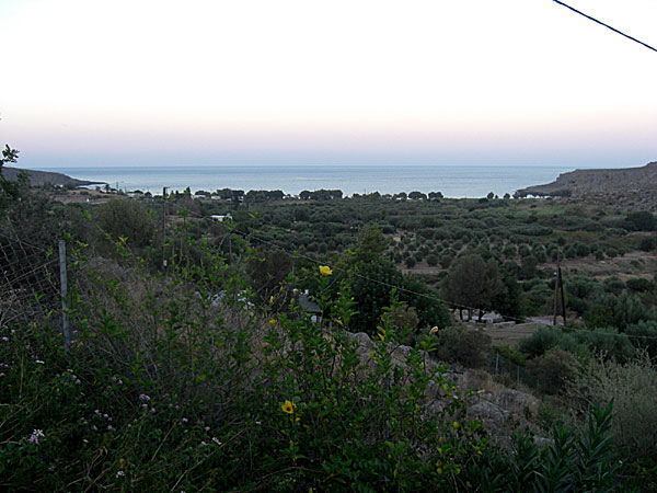 Katarina Apartments. Kato Zakros.