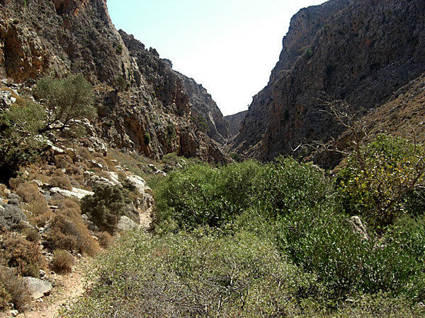 Dödens dal. Kato Zakros. Kreta.