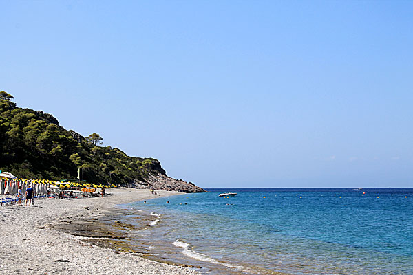 Milia beach på Skopelos.