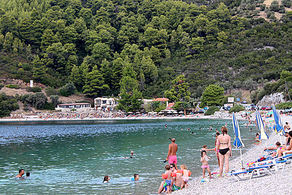 Panormos beach på Skopelos.