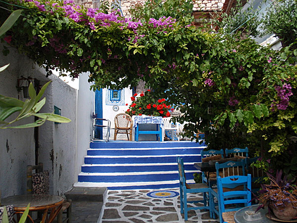 Trappor i Pythagorion på Samos.