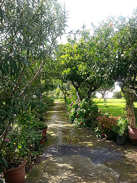 Kastro. Koroni. Peloponnesos.