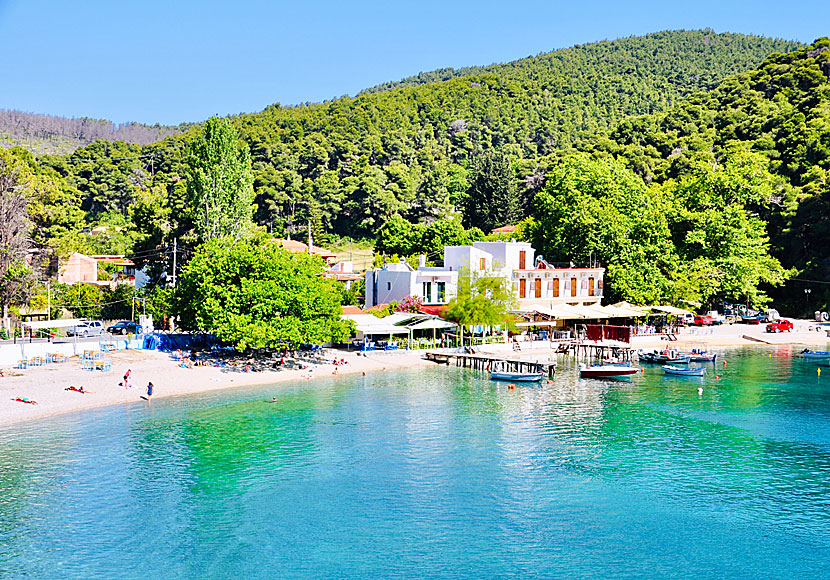 Agnontas på Skopelos i september.